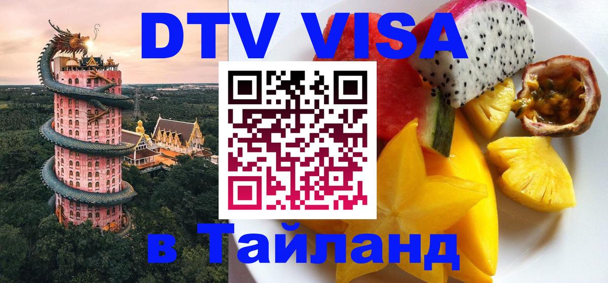 Сколько стоит DTV виза — актуальные цены, оформление даже без документов - 07.01.2026 